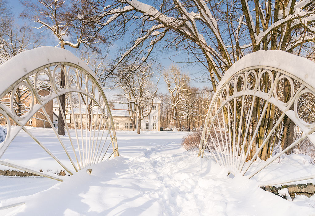 Winter im Gräflicher Park